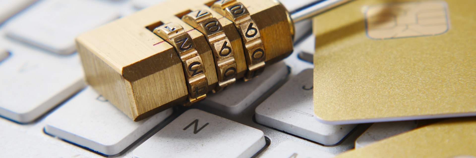 Secure domain and brand protection online